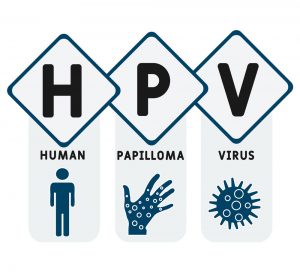 زگیل تناسلی HPV